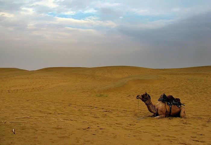 Sam Sand Dunes-Jaisalmer