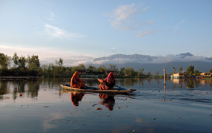 Srinagar-India-houseboats_51535084