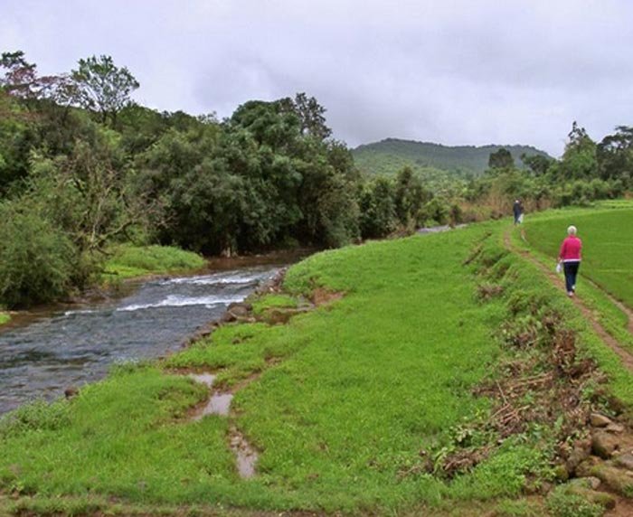 Wildernest Nature Resort