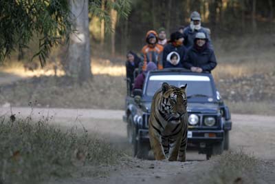 Kanha National Park