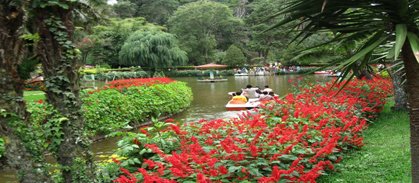 Sims Park, Coonoor