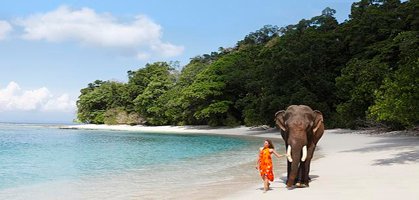 Elephant Beach