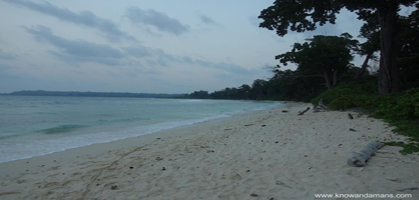 Laxmanpur Beach