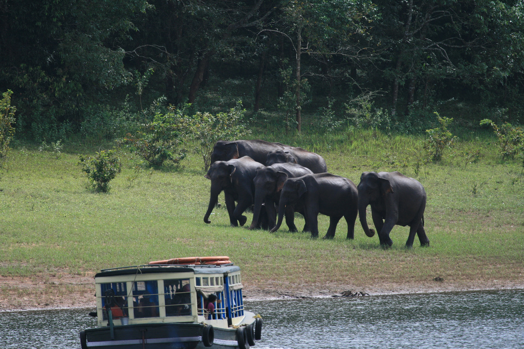 Thekkady,