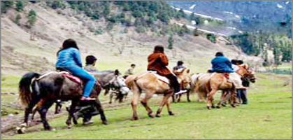 pahalgam pony riding