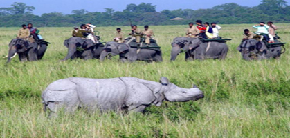 Elephant Ride