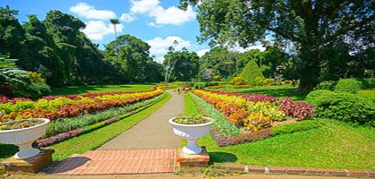 Hakgala Botanical Gardens