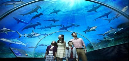 Marine Life Park singapore