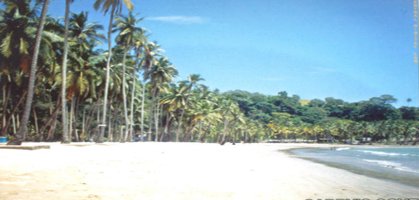Carbyn's Cove Beach
