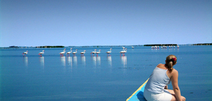 Chilika Lake