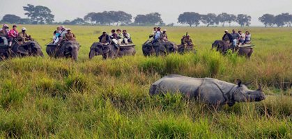 kaziranga national park