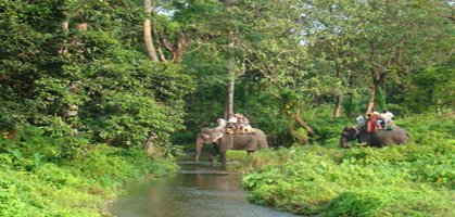 Gorumara National Park