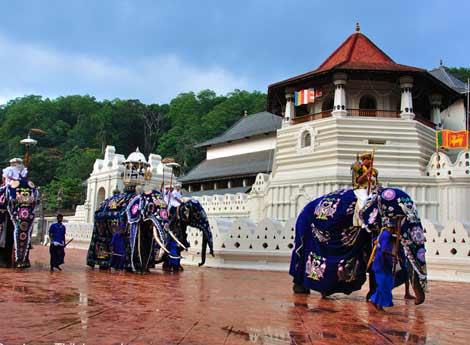 Nuwara eliya