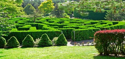 Peradeniya Botanical Gardens