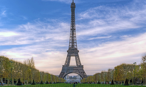 Eiffel Towers