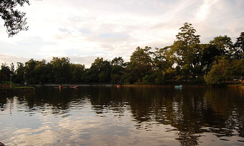 Wards Lake