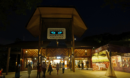 Singapore Night Safari