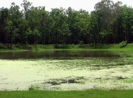 Achanakmaar Century, Bilaspur