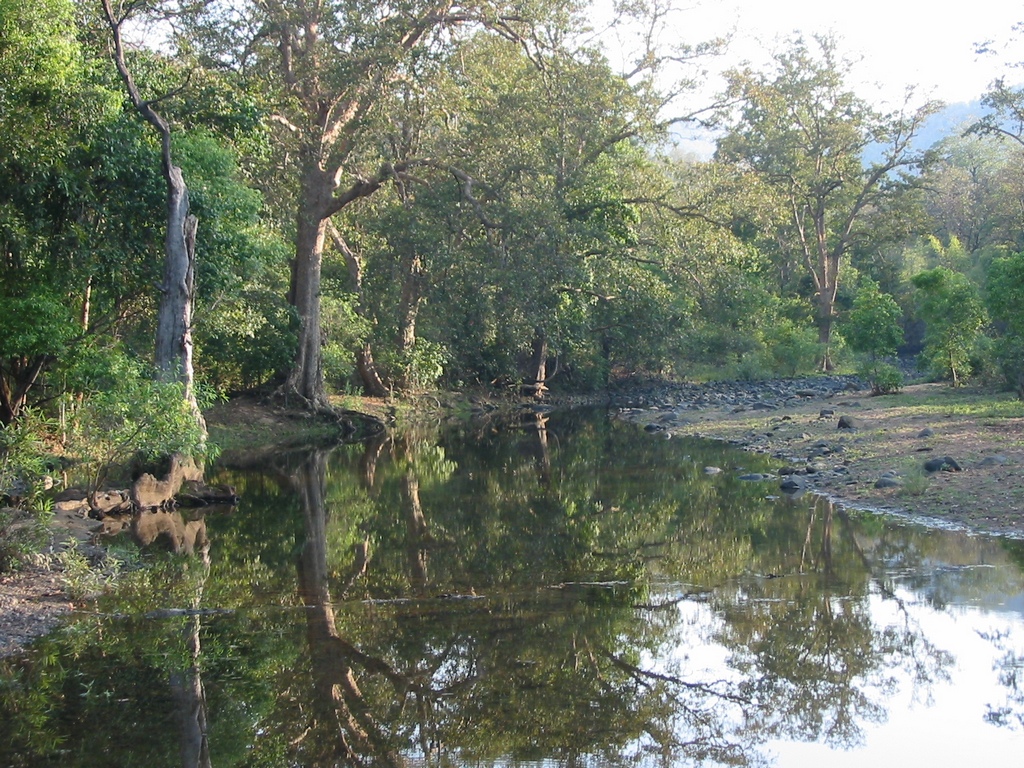 Beauty of Satpura National Park