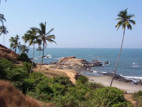 Bird Sanctuary Goa India