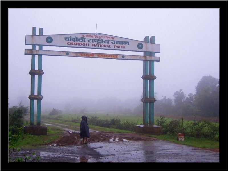 Chandoli National Park