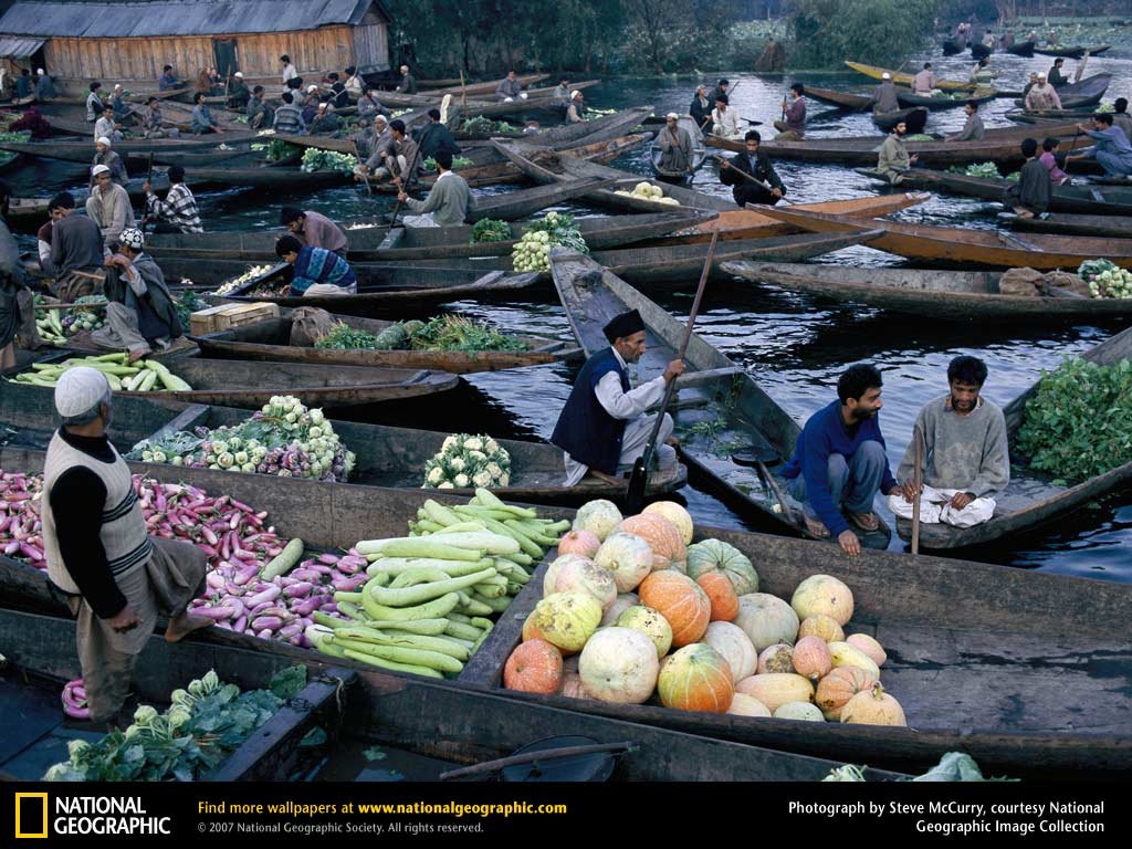 Dal lake market