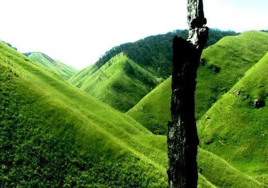 Dzukou Valley