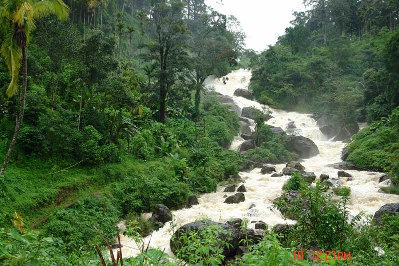 En route to Munnar