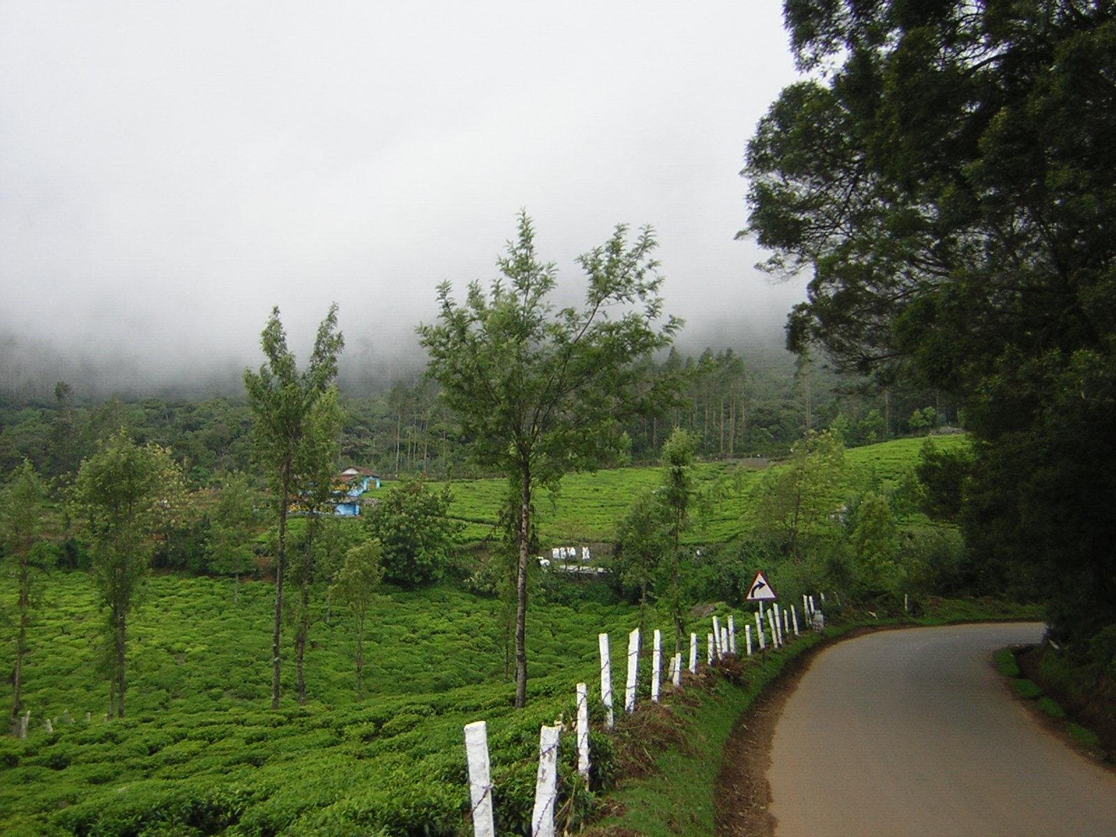 Enchanting Ooty