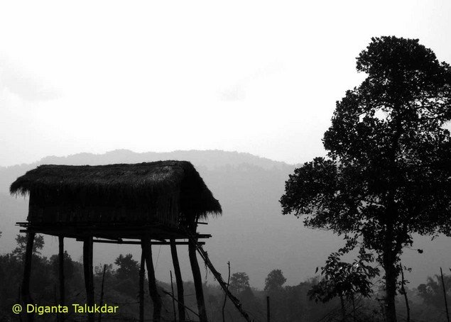 Kaziranga National Park Which Is Famous For One Horn Rhino