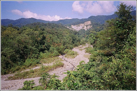 Manas Wildlife Sanctuary