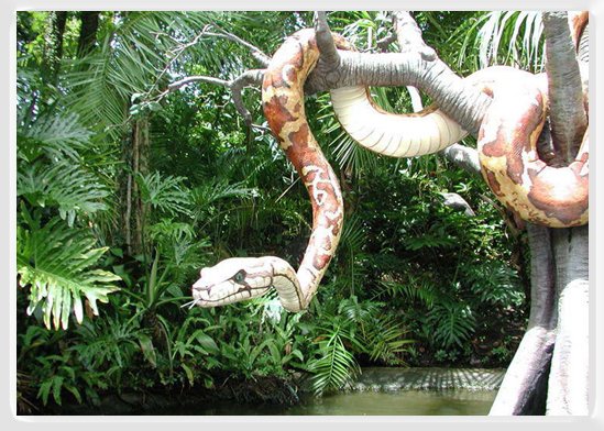 NATURE AND WILD LIFE
