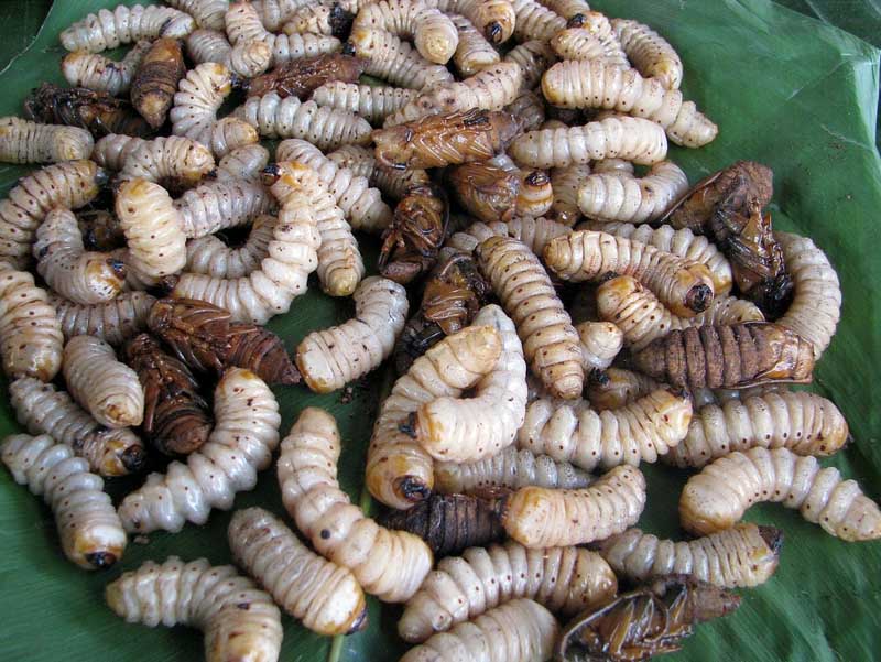 Nagaland Tribal Food