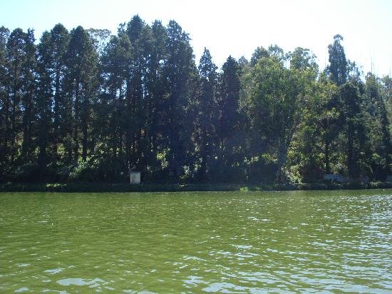Ooty Lake