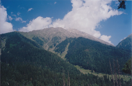 Pahalgaon mountains green