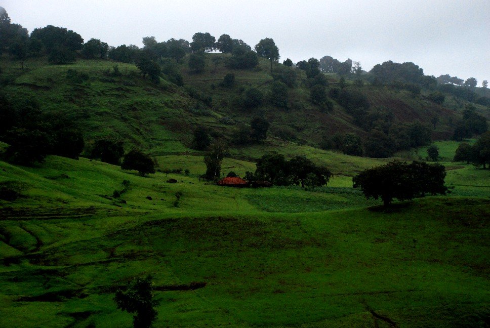 Patalkot, Chhindwara