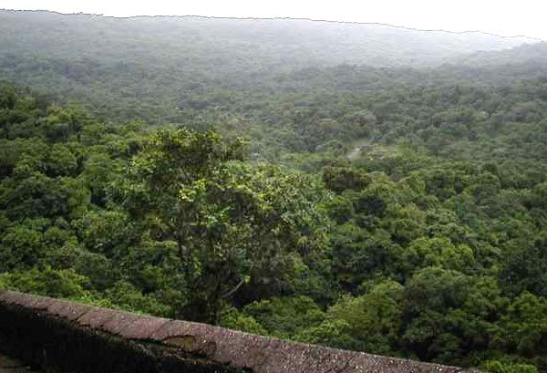 Sanjay gandhi national park view