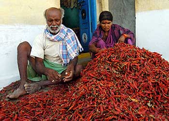 Andhra pradesh villager
