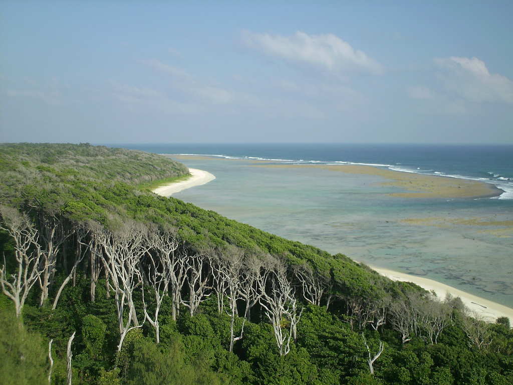 Beach-junlge-in-andaman-Island