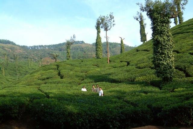 Chikmagalur tourism
