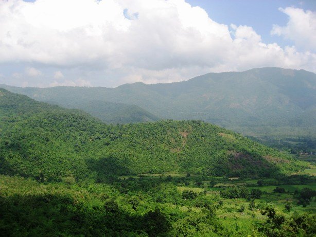 Nellore View