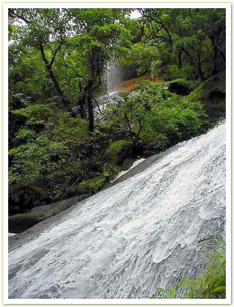waterfalls sanjay gandhi national park